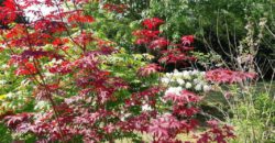 Maison Vente à Terme Occupée 119 m²