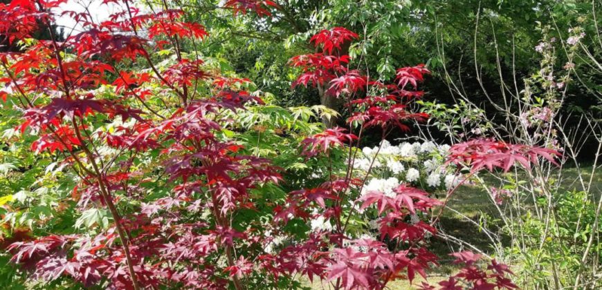 Maison Vente à Terme Occupée 119 m²