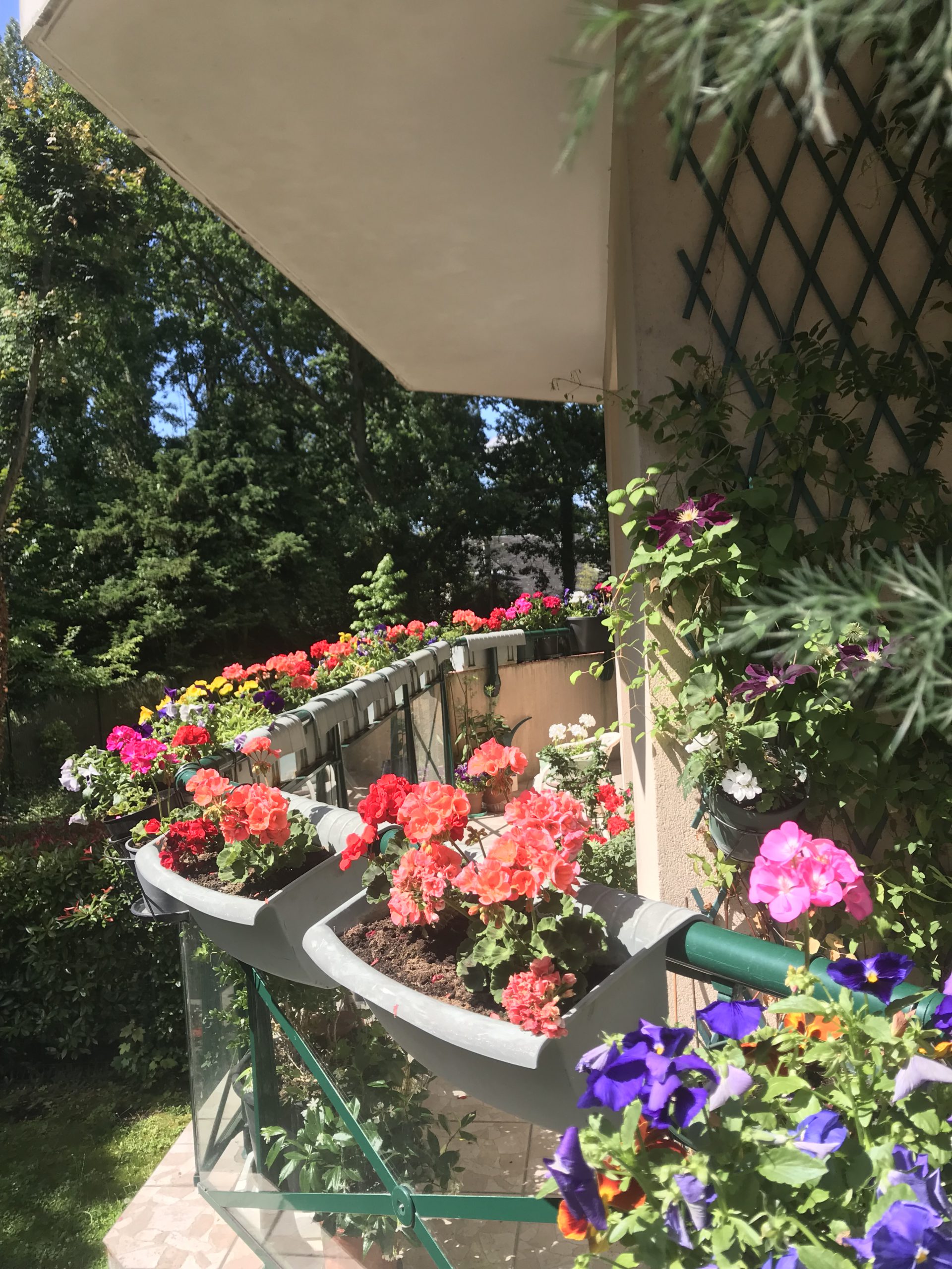 Appartement en Viager occupé 84m²