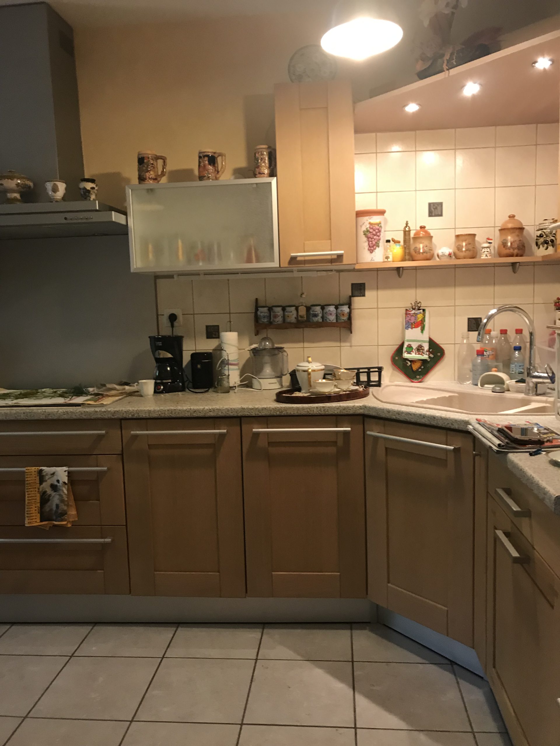 Appartement en Viager occupé 84m²