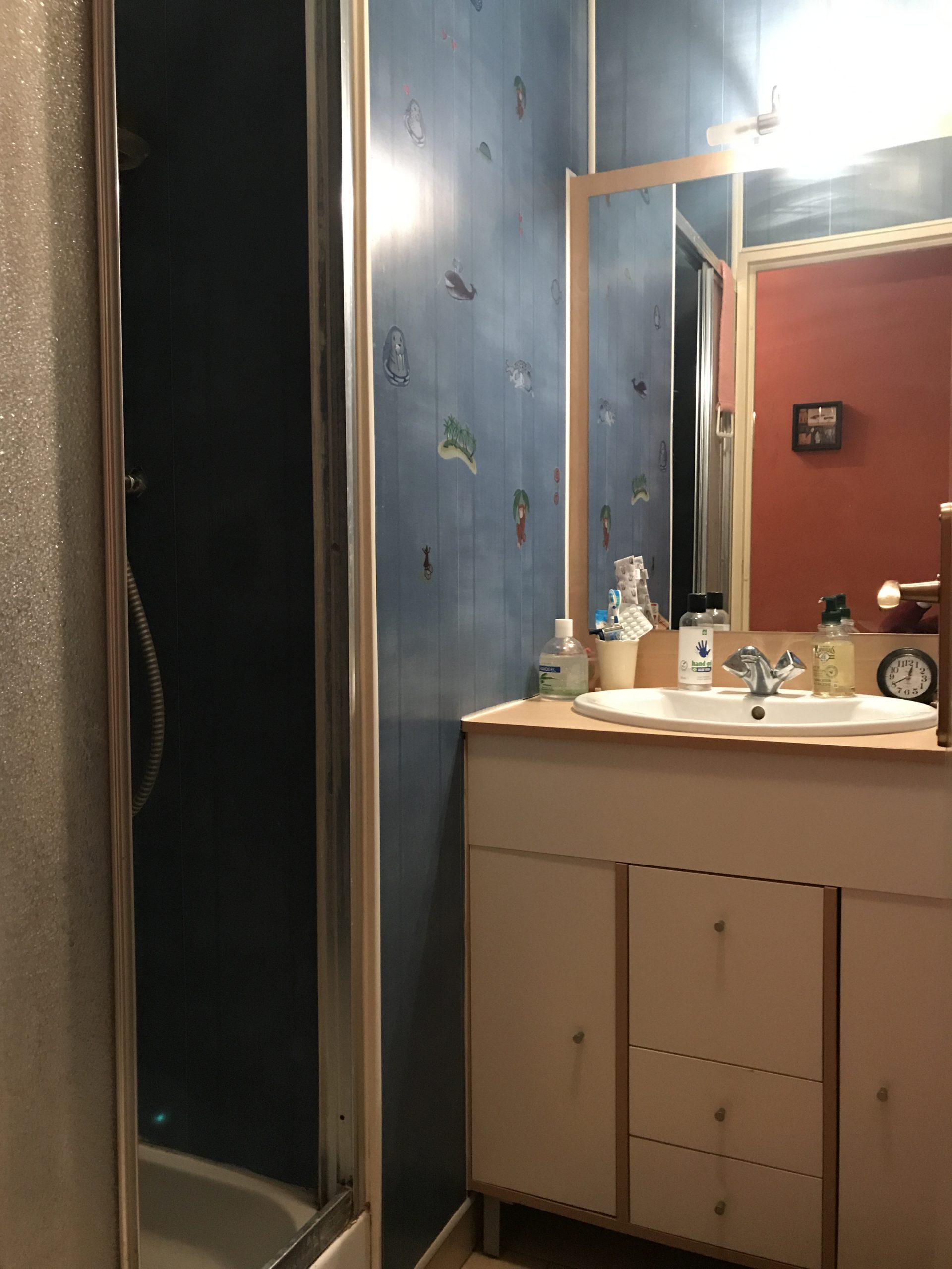 Appart. viager occupé 88m²