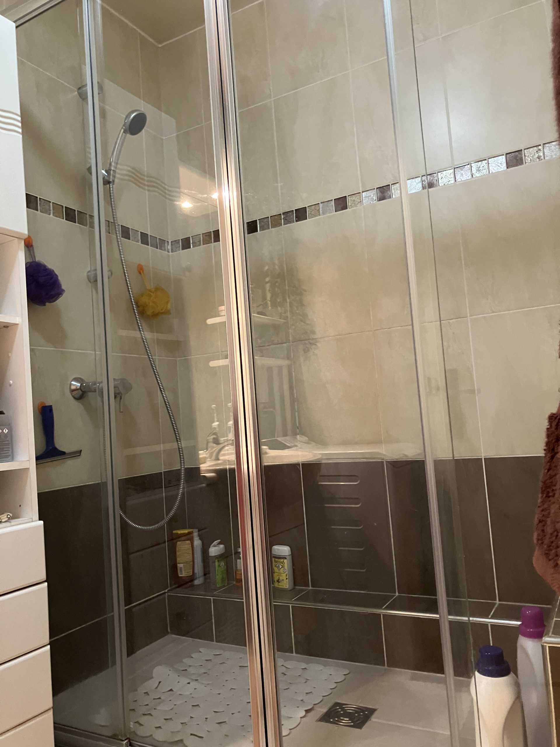 Appartement Viager occupé 72m²