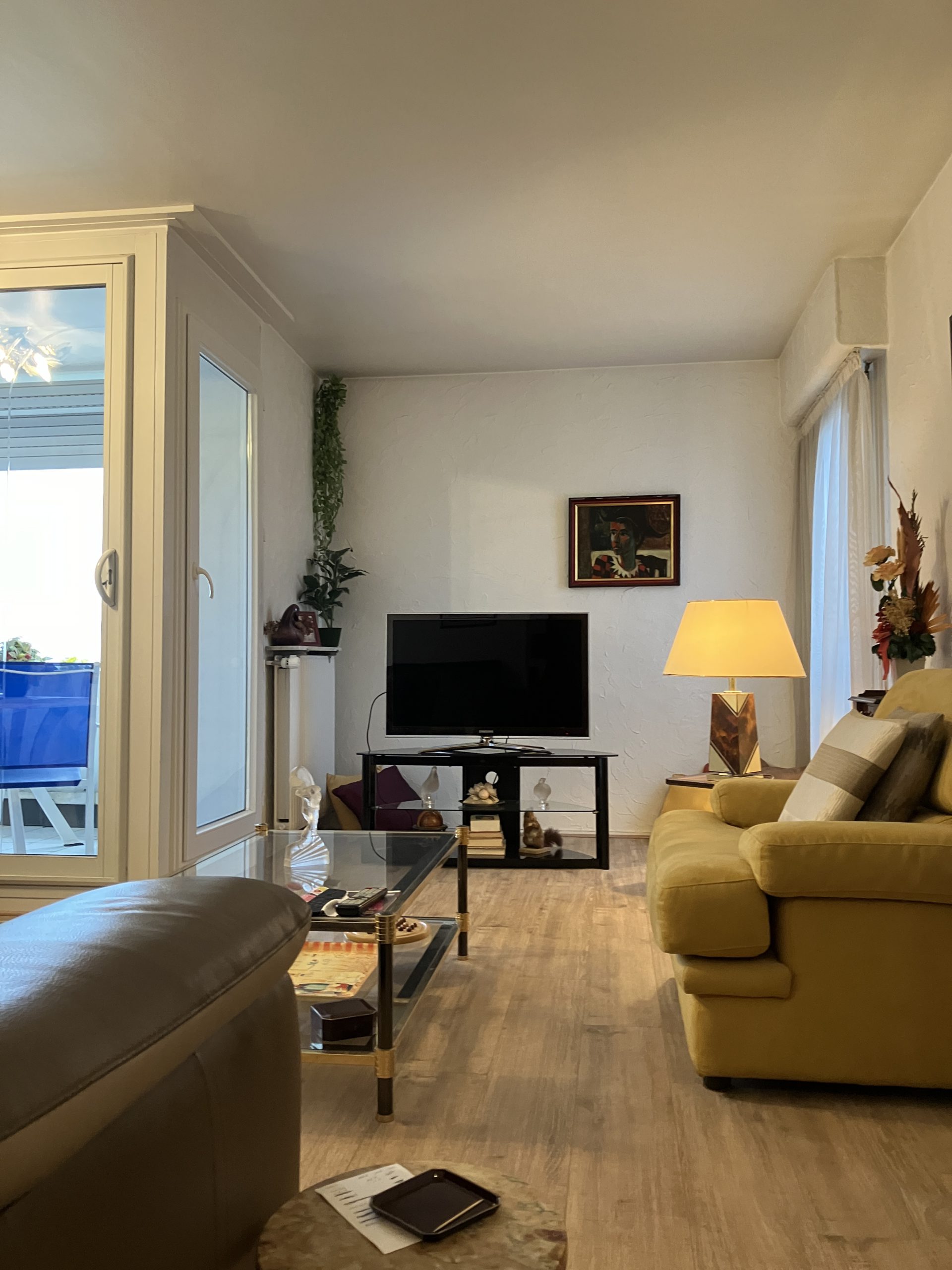 Appartement Viager occupé 72m²