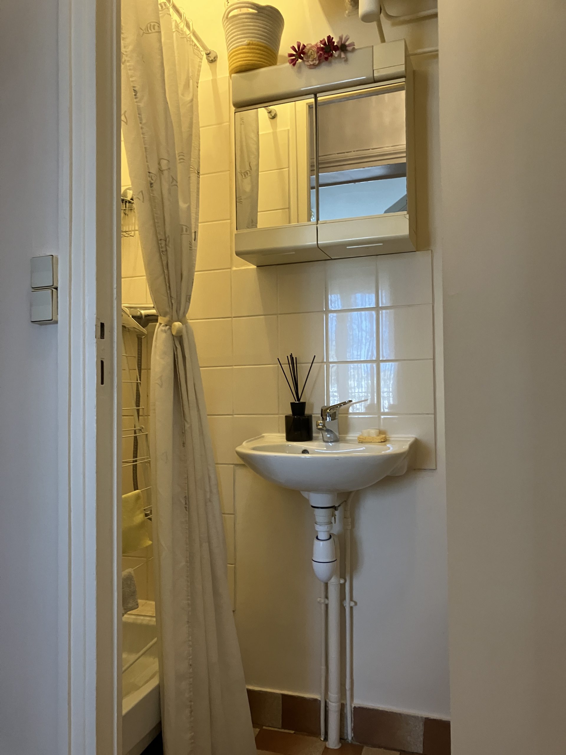 Appartement Viager occupé 30m²